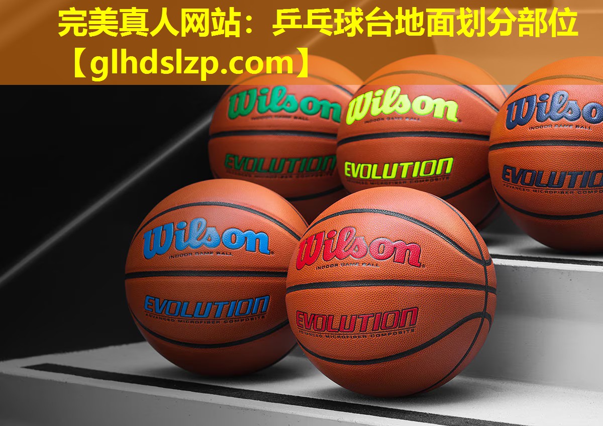乒乓球台地面划分部位 乒乓球台地面划分部位