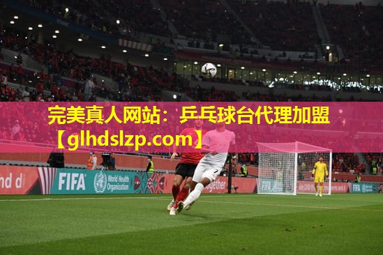 乒乓球台代理加盟 乒乓球台代理加盟