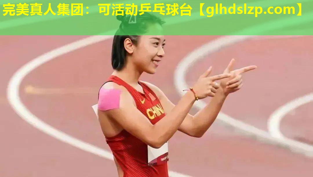 可活动乒乓球台 可活动乒乓球台