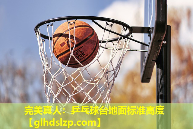 乒乓球台地面标准高度 乒乓球台地面标准高度