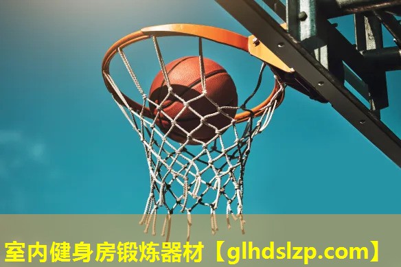 室内健身房锻炼器材 室内健身房锻炼器材