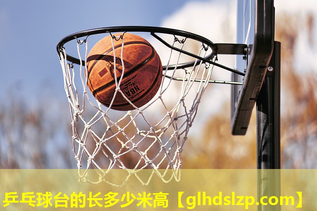 乒乓球台的长多少米高 乒乓球台的长多少米高
