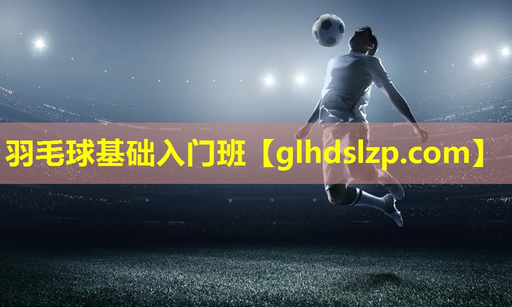 羽毛球基础入门班 羽毛球基础入门班
