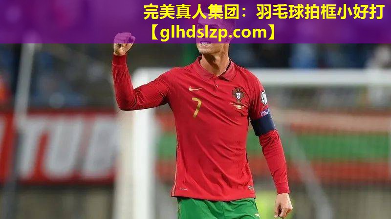 羽毛球拍框小好打 羽毛球拍框小好打