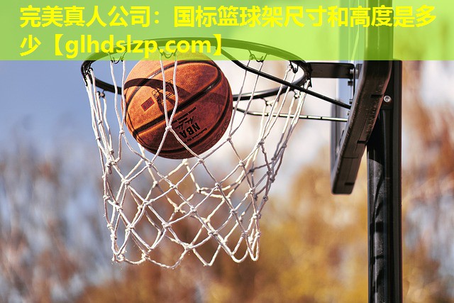 国标篮球架尺寸和高度是多少 国标篮球架尺寸和高度是多少