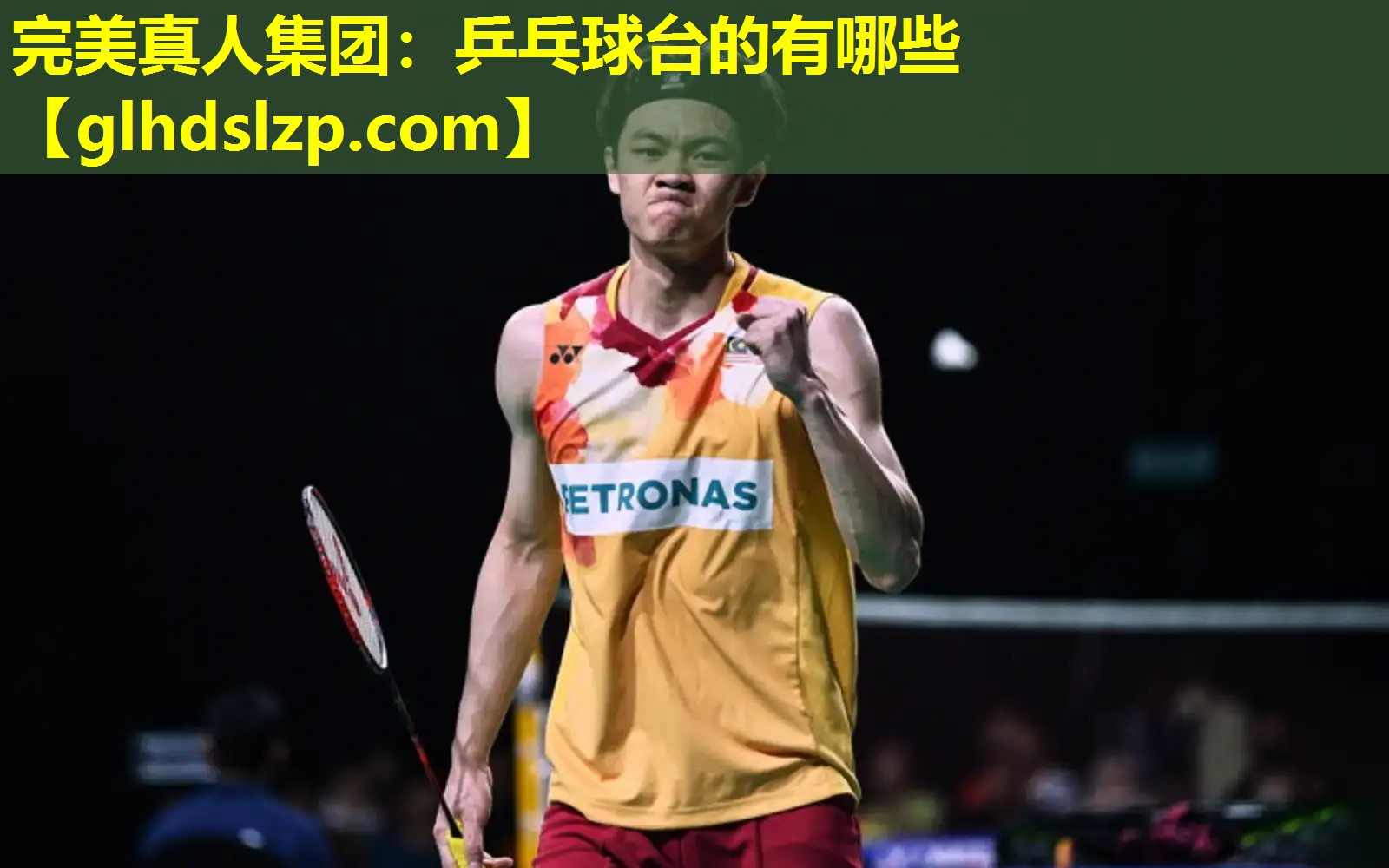 乒乓球台的有哪些 乒乓球台的有哪些