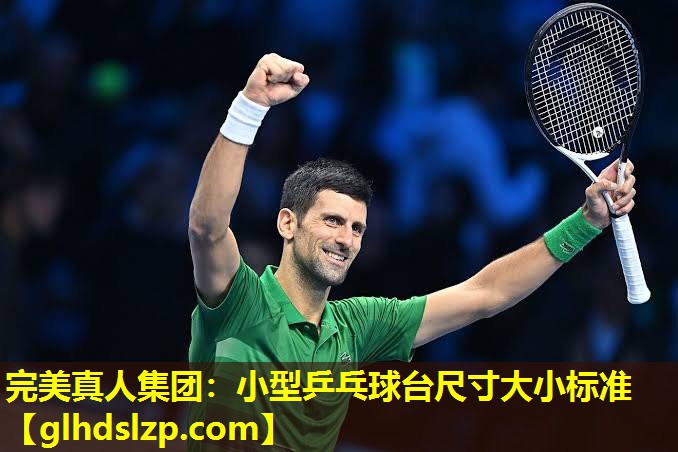 小型乒乓球台尺寸大小标准 小型乒乓球台尺寸大小标准