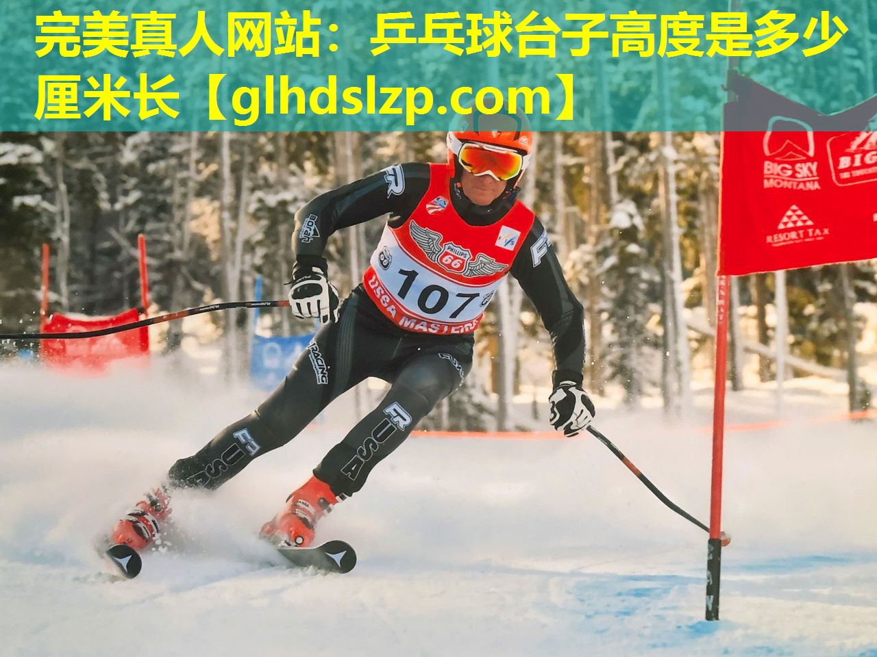 乒乓球台子高度是多少厘米长 乒乓球台子高度是多少厘米长