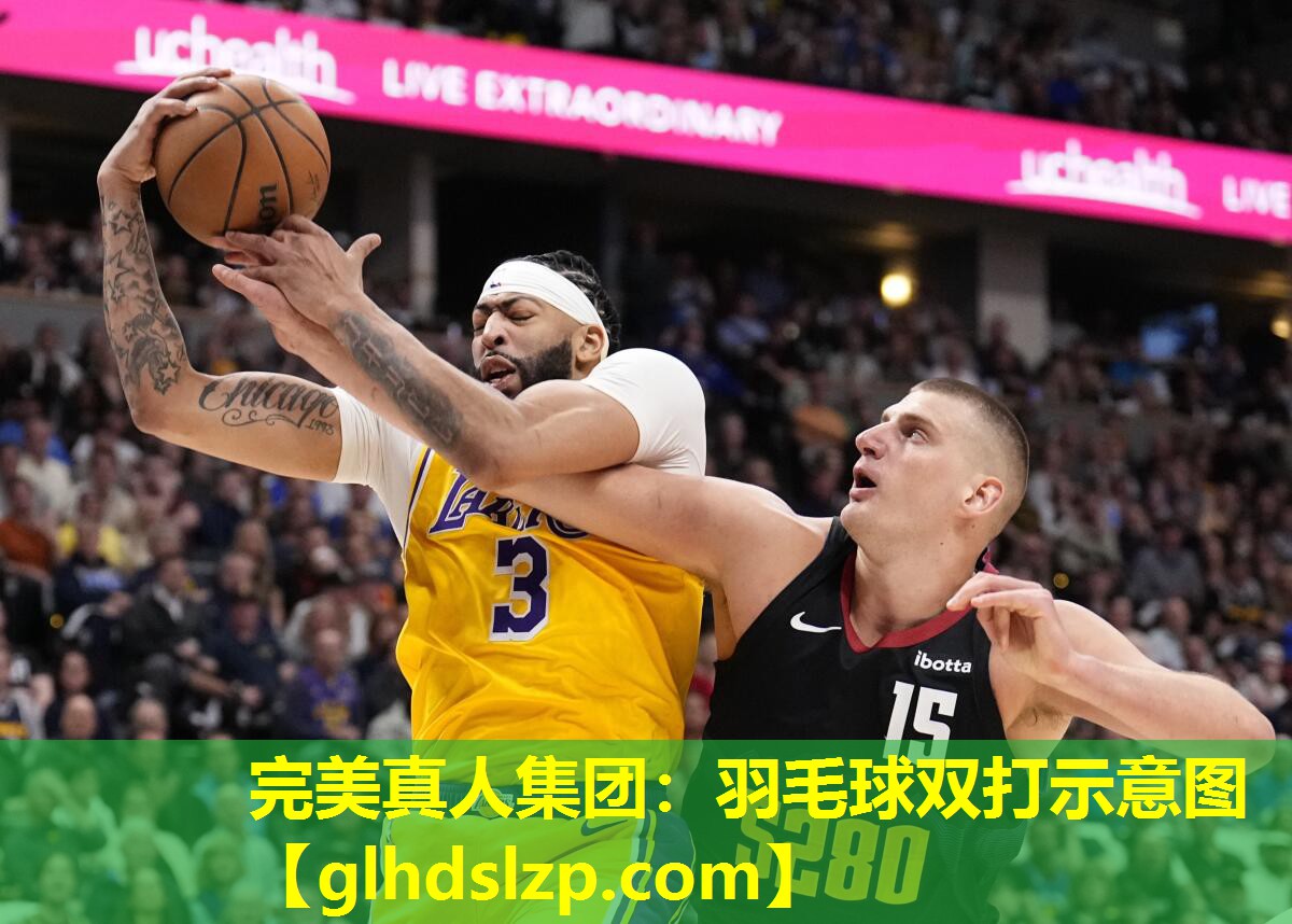 羽毛球双打示意图 羽毛球双打示意图