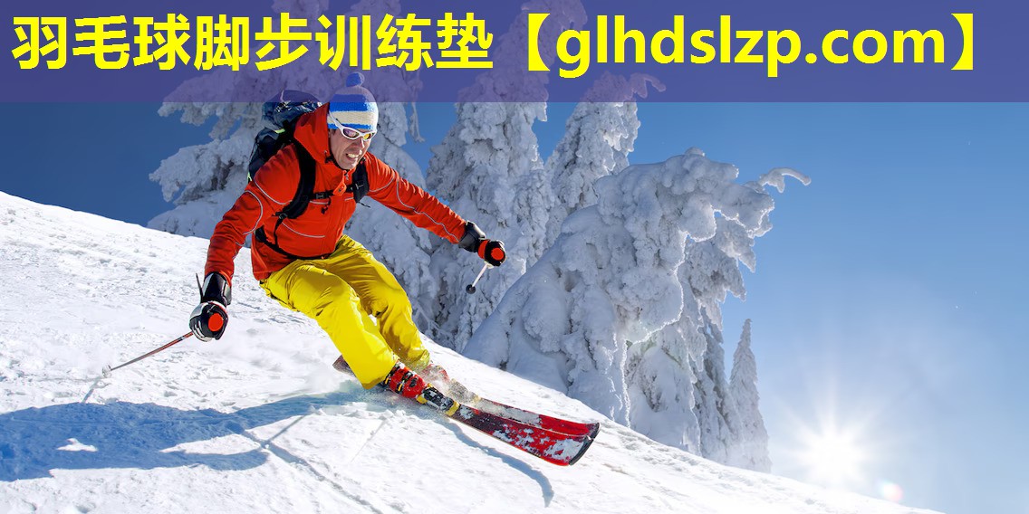 羽毛球脚步训练垫 羽毛球脚步训练垫