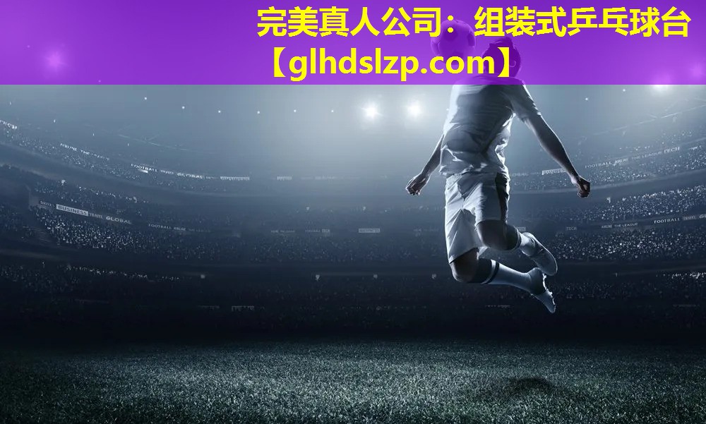 组装式乒乓球台 组装式乒乓球台