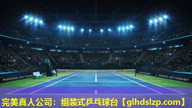 组装式乒乓球台 组装式乒乓球台